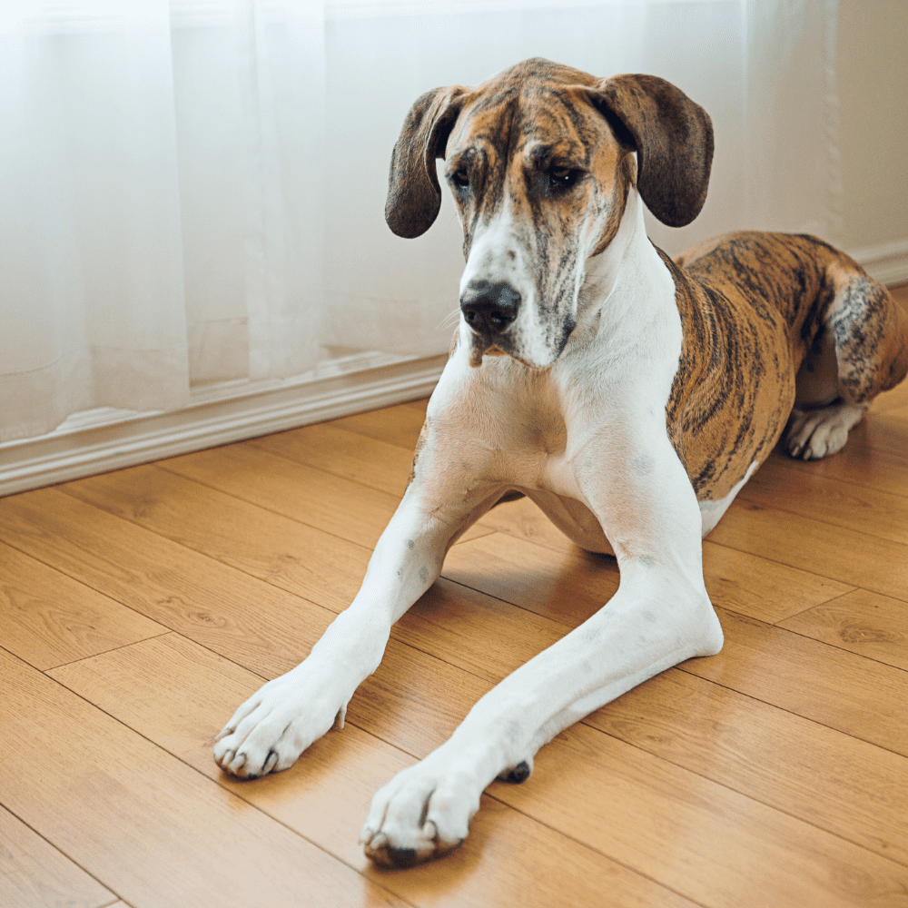 How to Keep Floor Mats From Sliding on Vinyl Floor